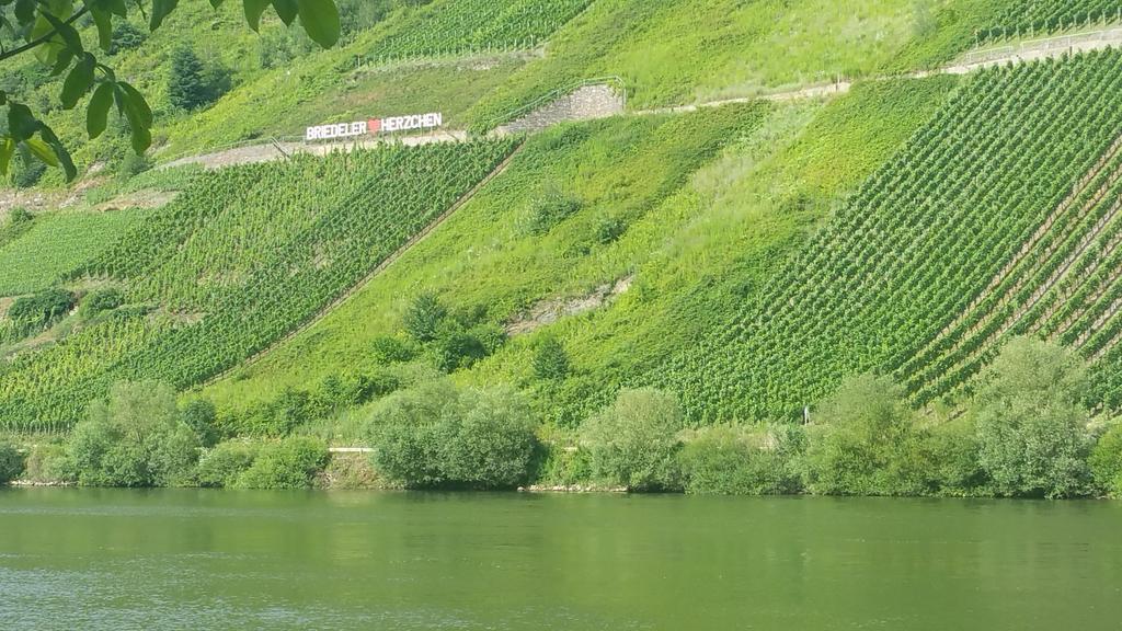 Haus Hazienda Briedel Zewnętrze zdjęcie